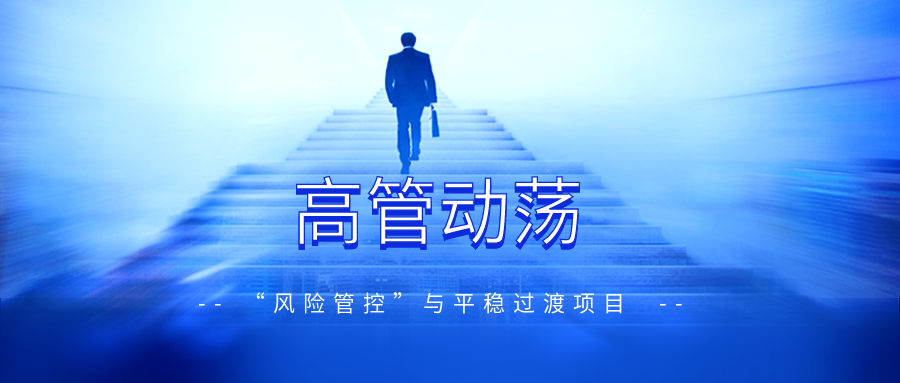 高管动荡的“风险管控”与平稳过渡项目