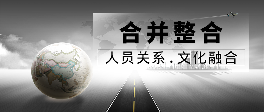 并购后组织整合与文化融合项目
